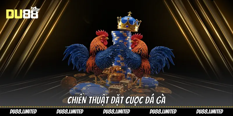 Chiến thuật đặt cược đá gà