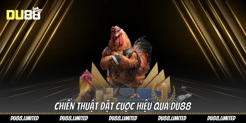 Chiến thuật đặt cược hiệu quả Du88