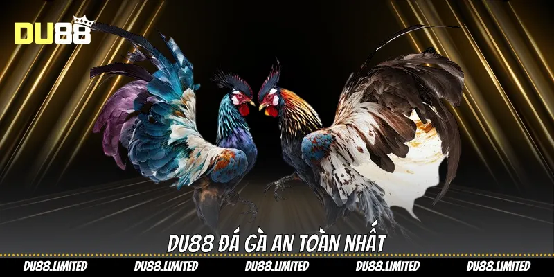 Du88 đá gà an toàn nhất