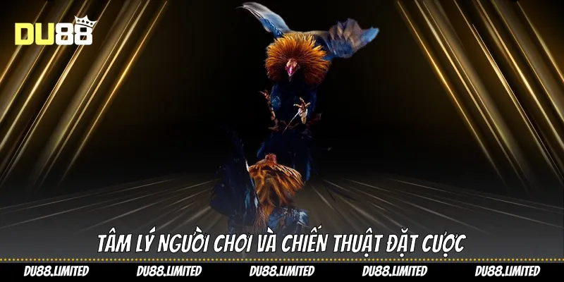 Tâm lý người chơi và chiến thuật đặt cược