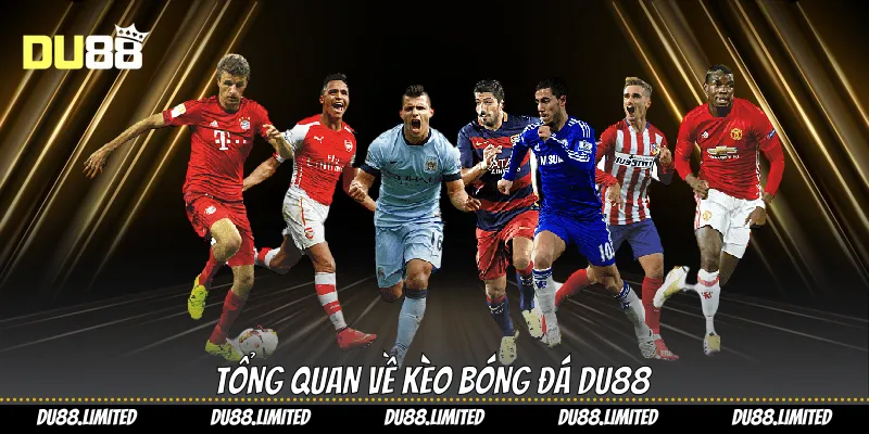 Tổng quan về kèo bóng đá Du88